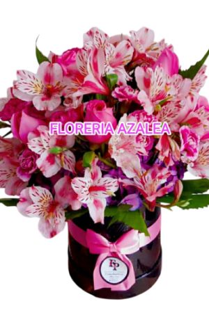 BOX ASTROMELIAS+ ROSAS