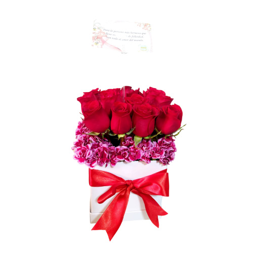 Box de rosas + claveles