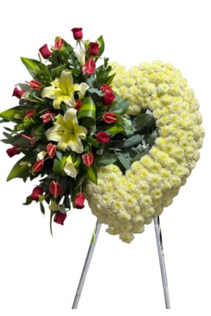 CORAZON FUNEBRE "Alas de Luz"