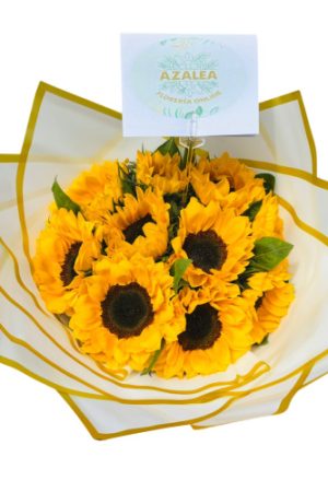 RAMO GIRASOL MIXTO