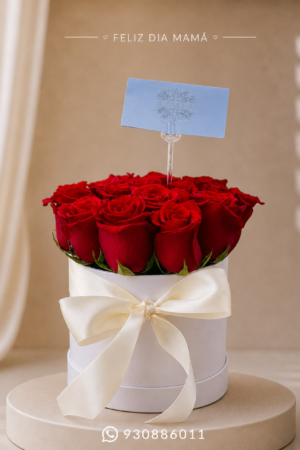BOX ETERNAS PARA MAMÁ - 12 ROSAS