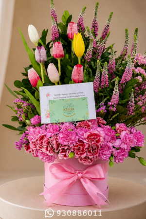 BOX DE TULIPANES MIXTO - 8 TULIPANES, VERÓNICA Y CLAVELES